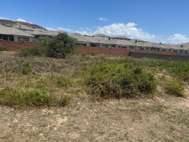 0 Bedroom Property for Sale in Diaz Western Cape